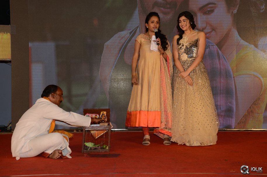 Garam-Movie-Audio-Launch